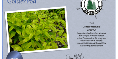 KC2ZQO POTA Ouachita Mountain Goldenrod Hunter